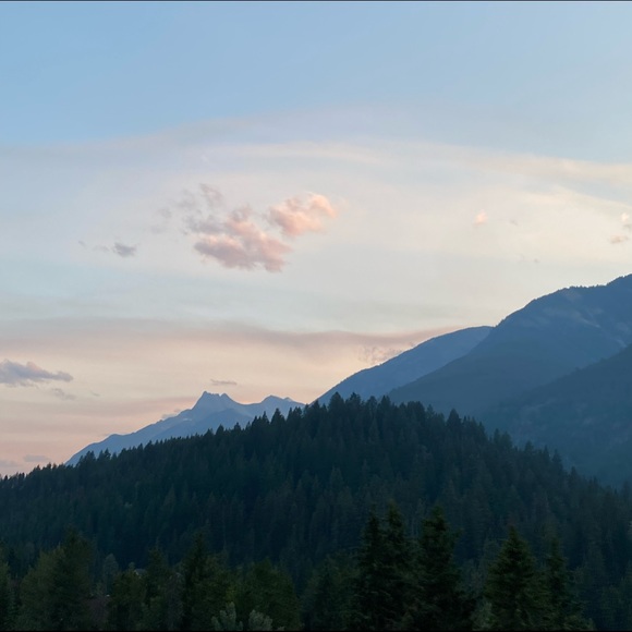 Meet your Posher, Celina - Picture 1 of 1